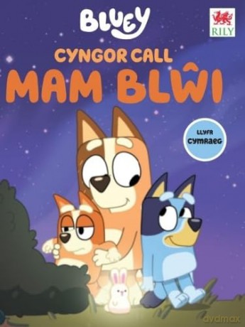 Cyngor Call MAM BLWI [KSIĄŻKA]