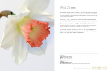 Daffodils: The ultimate guide for growing, flowering and cutting beautiful narcissi varieties for daffodils at home and in the garden [KSIĄŻKA]