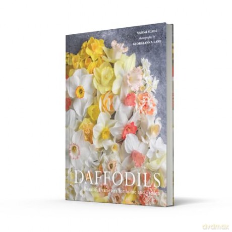 Daffodils: The ultimate guide for growing, flowering and cutting beautiful narcissi varieties for daffodils at home and in the garden [KSIĄŻKA]