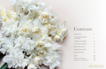 Daffodils: The ultimate guide for growing, flowering and cutting beautiful narcissi varieties for daffodils at home and in the garden [KSIĄŻKA]