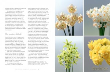 Daffodils: The ultimate guide for growing, flowering and cutting beautiful narcissi varieties for daffodils at home and in the garden [KSIĄŻKA]