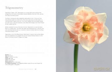 Daffodils: The ultimate guide for growing, flowering and cutting beautiful narcissi varieties for daffodils at home and in the garden [KSIĄŻKA]