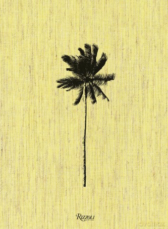Decoding Palm Culture [KSIĄŻKA]