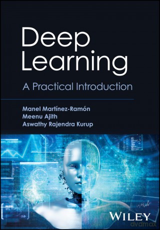 Deep Learning: A Practical Introduction [KSIĄŻKA]