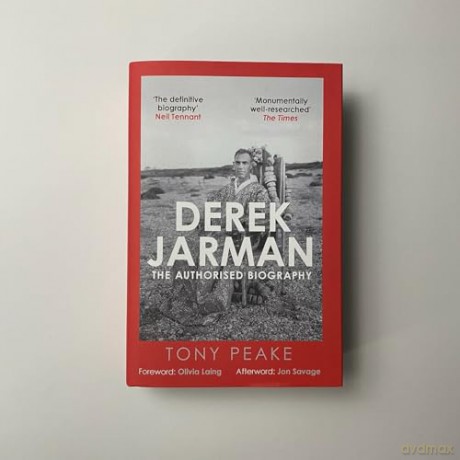 Derek Jarman: The Authorised Biography [KSIĄŻKA]