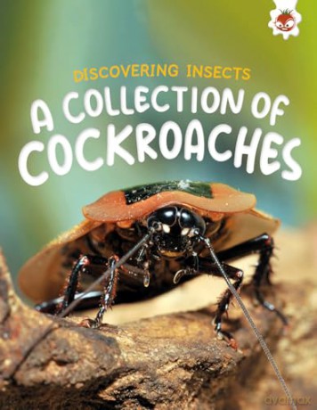 Discovering Insects: A Collection of Cockroaches [KSIĄŻKA]