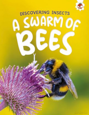 Discovering Insects: A Swarm of Bees [KSIĄŻKA]