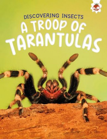 Discovering Insects: A Troop of Tarantulas [KSIĄŻKA]