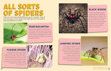 Discovering Insects: A Troop of Tarantulas [KSIĄŻKA]