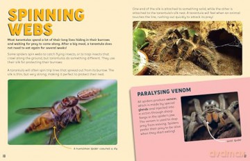 Discovering Insects: A Troop of Tarantulas [KSIĄŻKA]