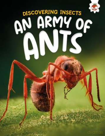 Discovering Insects: An Army of Ants [KSIĄŻKA]