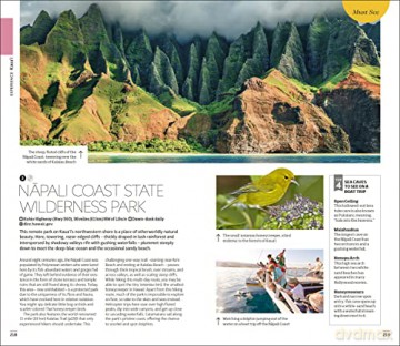 DK Hawaii [KSIĄŻKA]