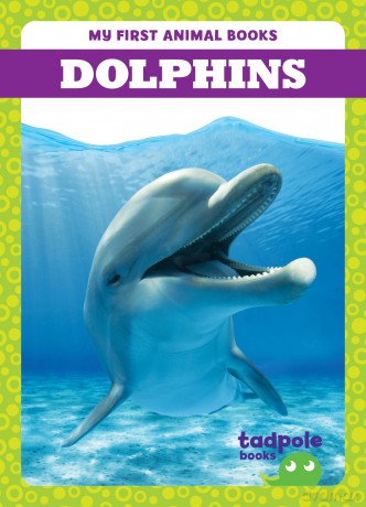 Dolphins [KSIĄŻKA]