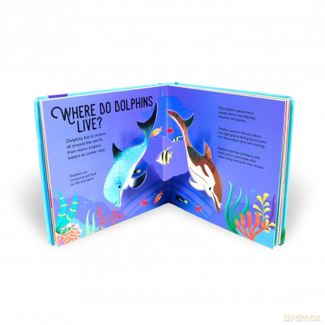 Dolphins [KSIĄŻKA]