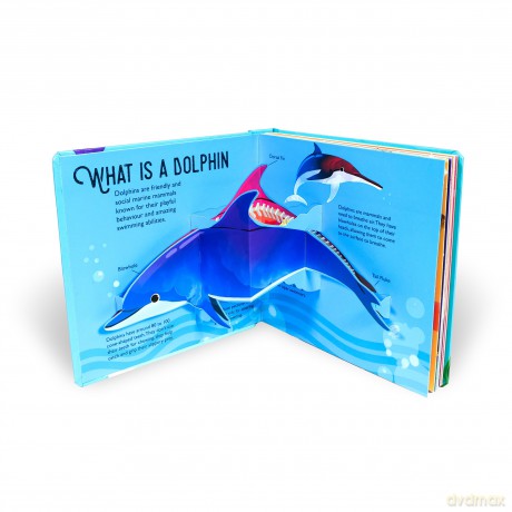 Dolphins [KSIĄŻKA]