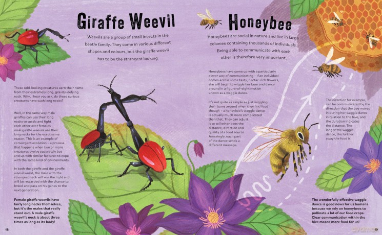 Don't Squish a Slug: A Wonderful Celebration of Marvellous Minibeasts! [KSIĄŻKA]