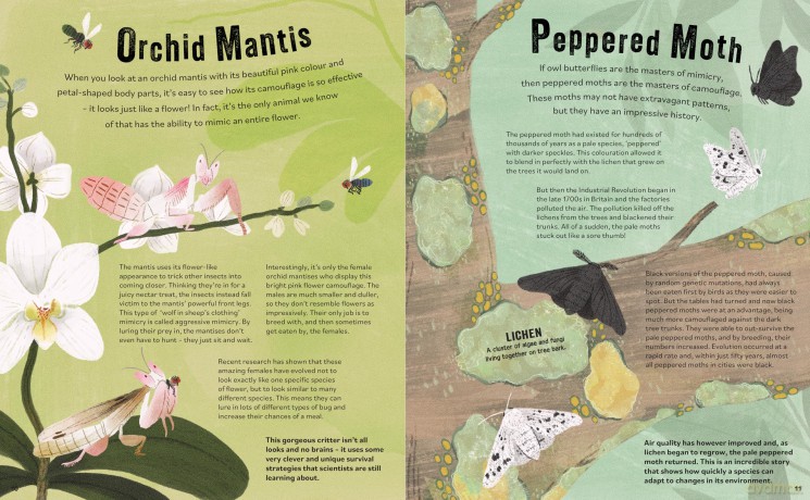 Don't Squish a Slug: A Wonderful Celebration of Marvellous Minibeasts! [KSIĄŻKA]