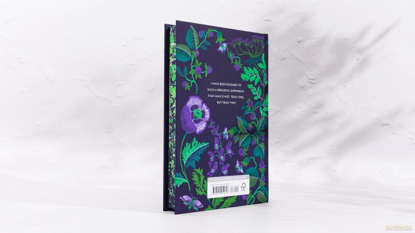 Dr Jekyll and Mr Hyde and Other Stories: by Robert Louis Stevenson [KSIĄŻKA]