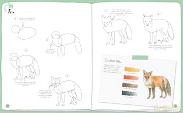 Draw in 10 Minutes: Animals: Learn how to draw in 50 quick sketches [KSIĄŻKA]