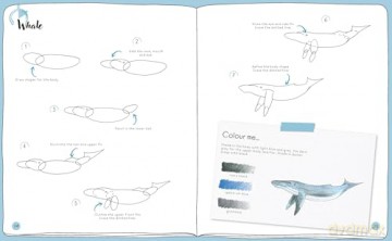 Draw in 10 Minutes: Animals: Learn how to draw in 50 quick sketches [KSIĄŻKA]