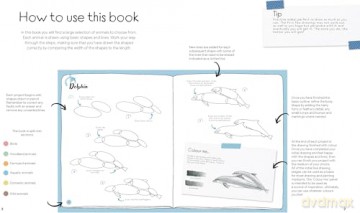 Draw in 10 Minutes: Animals: Learn how to draw in 50 quick sketches [KSIĄŻKA]