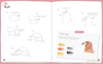 Draw in 10 Minutes: Animals: Learn how to draw in 50 quick sketches [KSIĄŻKA]