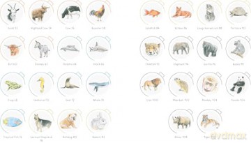 Draw in 10 Minutes: Animals: Learn how to draw in 50 quick sketches [KSIĄŻKA]