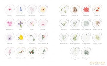 Draw in 10 Minutes: Botanicals: Learn how to draw in 50 quick sketches [KSIĄŻKA]