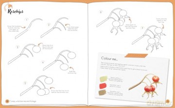 Draw in 10 Minutes: Botanicals: Learn how to draw in 50 quick sketches [KSIĄŻKA]