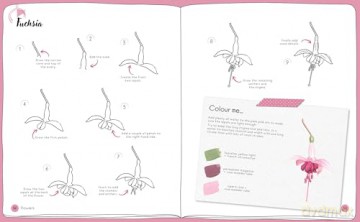 Draw in 10 Minutes: Botanicals: Learn how to draw in 50 quick sketches [KSIĄŻKA]