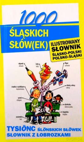 1000 śląskich słów(ek). Ilustrowany słownik [KSIĄŻKA]