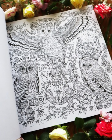 Dream Voyage: A Fantasy Colouring Journey [KSIĄŻKA]