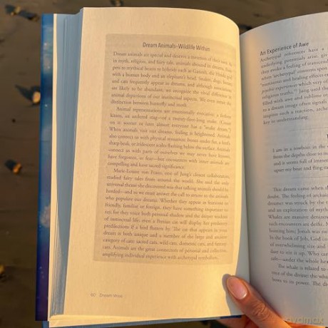 Dream Wise: Unlocking the Meaning of Your Dreams [KSIĄŻKA]