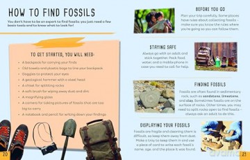 Earth's Detectives: All About Fossils [KSIĄŻKA]