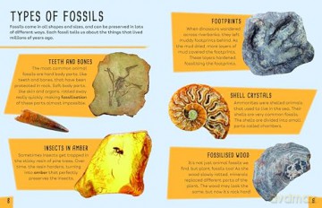 Earth's Detectives: All About Fossils [KSIĄŻKA]