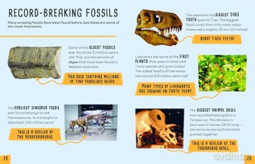 Earth's Detectives: All About Fossils [KSIĄŻKA]