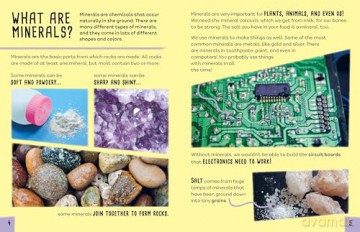 Earth's Detectives: All About Minerals [KSIĄŻKA]