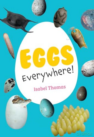 Eggs Everywhere!: Fluency 6 [KSIĄŻKA]