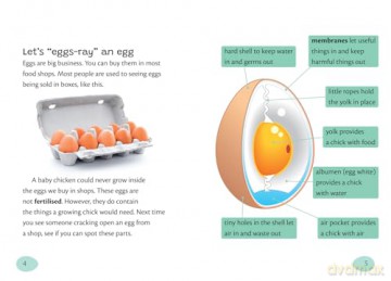 Eggs Everywhere!: Fluency 6 [KSIĄŻKA]