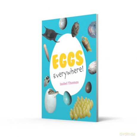 Eggs Everywhere!: Fluency 6 [KSIĄŻKA]