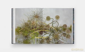 Emily Thompson Flowers [KSIĄŻKA]