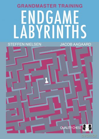 Endgame Labyrinths: Grandmaster Training [KSIĄŻKA]