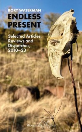 Endless Present: Selected Articles, Reviews and Dispatches, 2010-23 [KSIĄŻKA]
