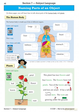 English as an Additional Language [KSIĄŻKA]
