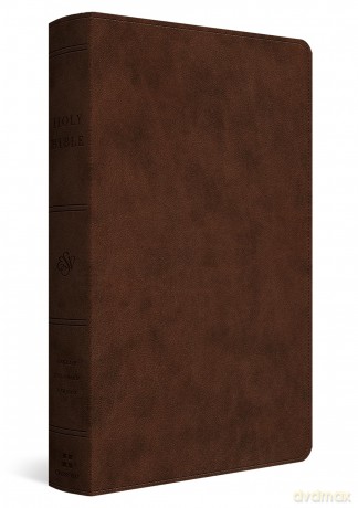 ESV Holy Bible: Dyslexia-Friendly Edition [KSIĄŻKA]