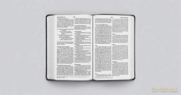 ESV Large Print Value Thinline Bible Trutone, Black: English Standard Version Value Thinline Bible, Black, Trutone [KSIĄŻKA]