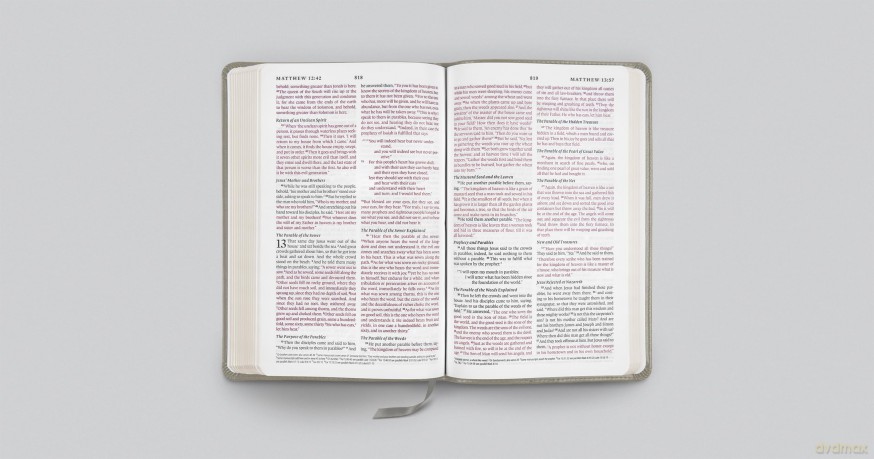 ESV Thinline Bible, TruTone, Stone, Branch Design: English Standard Version, Stone, Trutone, Branch Design, Thinline Bible [KSIĄŻKA]