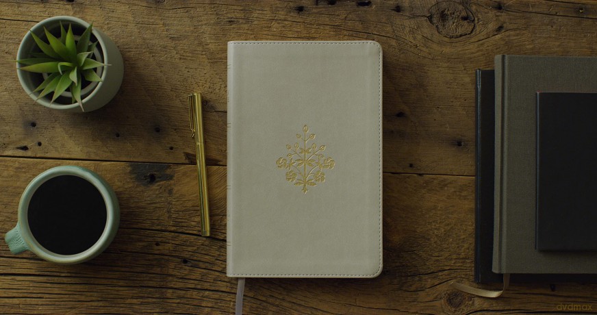ESV Thinline Bible, TruTone, Stone, Branch Design: English Standard Version, Stone, Trutone, Branch Design, Thinline Bible [KSIĄŻKA]