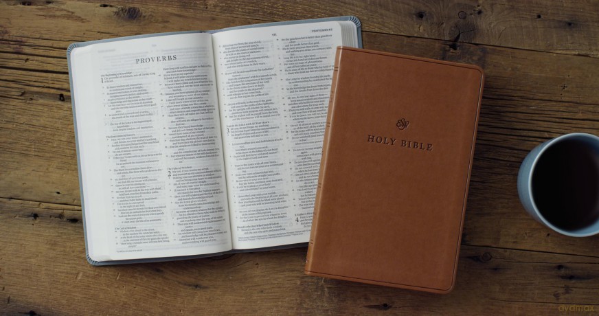ESV Value Thinline Bible [KSIĄŻKA]