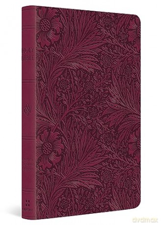 ESV Value Thinline Bible [KSIĄŻKA]